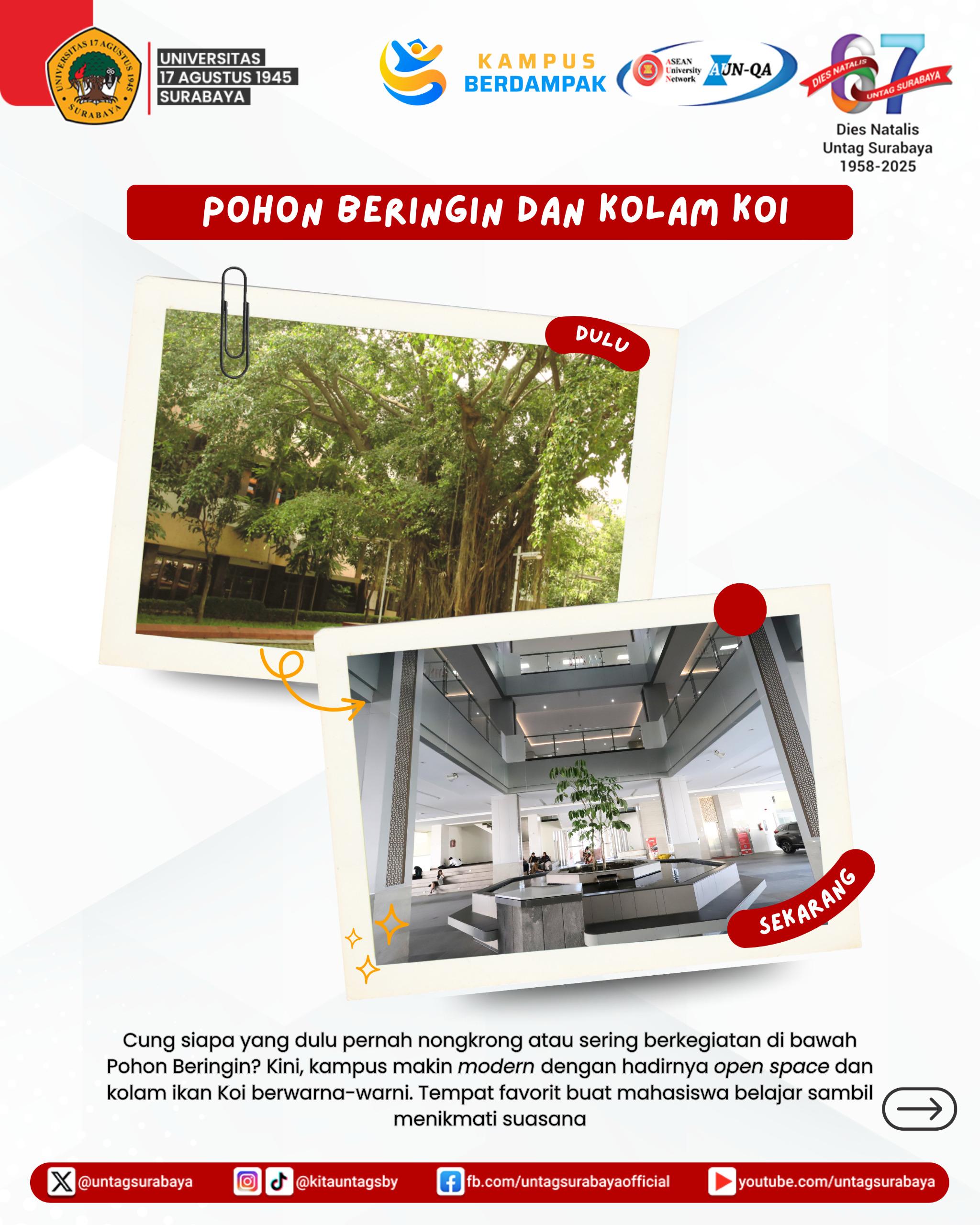Pohon Beringin dan Kolam Koi